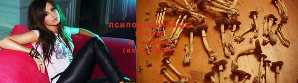стафф Бугульма