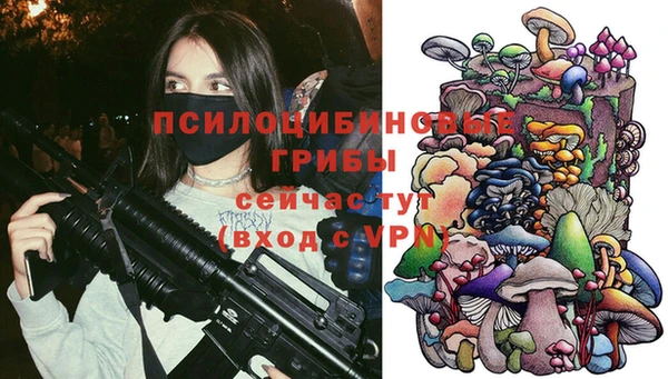 гашиш Бородино