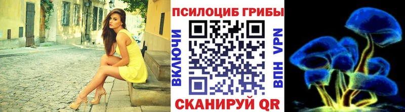 Псилоцибиновые грибы Psilocybe  закладка  Звенигово 